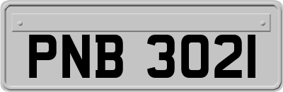 PNB3021