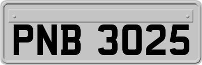 PNB3025