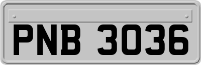 PNB3036