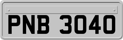 PNB3040