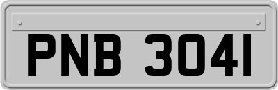 PNB3041