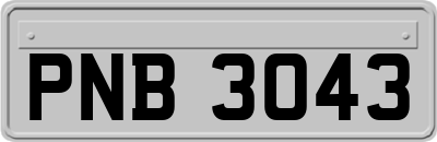 PNB3043