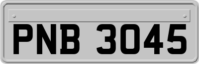 PNB3045