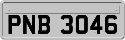 PNB3046