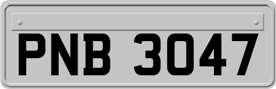 PNB3047