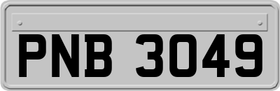 PNB3049