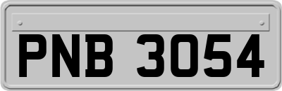 PNB3054