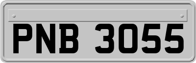 PNB3055