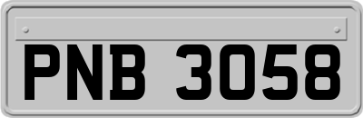 PNB3058