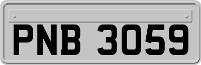 PNB3059