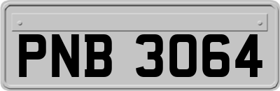 PNB3064