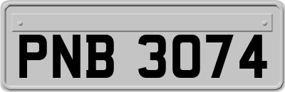 PNB3074