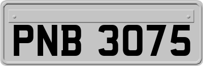 PNB3075
