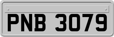 PNB3079
