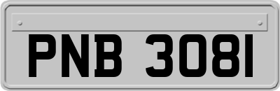 PNB3081