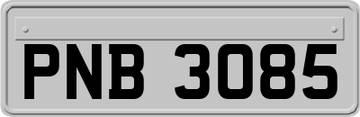 PNB3085