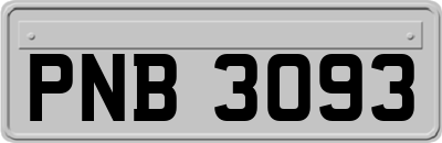 PNB3093