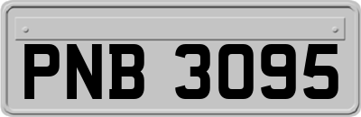 PNB3095