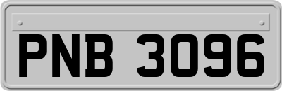 PNB3096