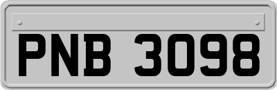PNB3098