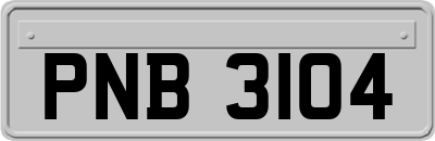 PNB3104