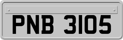 PNB3105