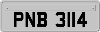 PNB3114
