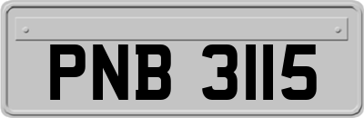 PNB3115