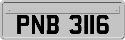 PNB3116
