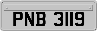 PNB3119