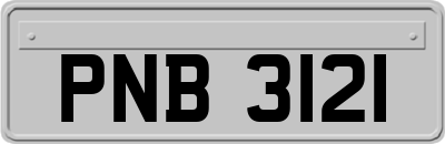 PNB3121