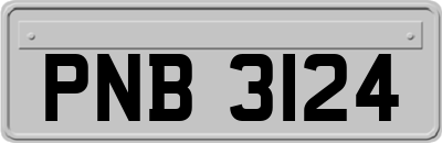PNB3124
