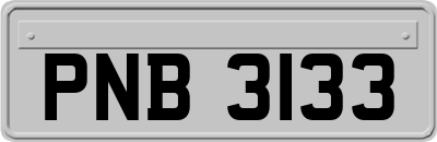PNB3133