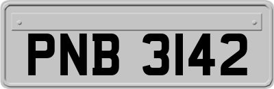PNB3142