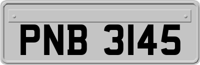PNB3145