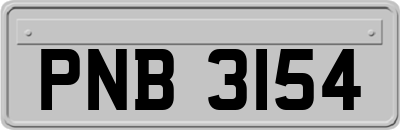 PNB3154