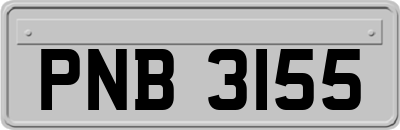 PNB3155