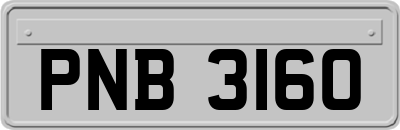PNB3160