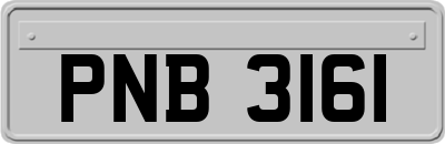 PNB3161