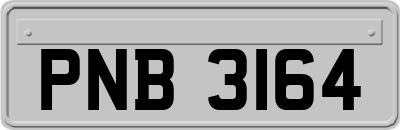 PNB3164