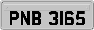 PNB3165