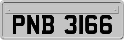 PNB3166