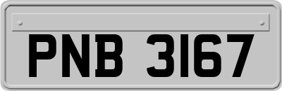 PNB3167