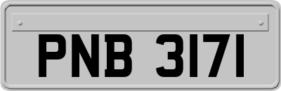 PNB3171