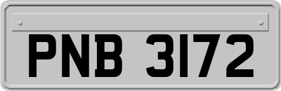 PNB3172