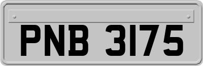 PNB3175
