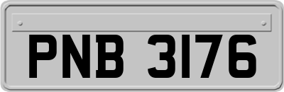 PNB3176