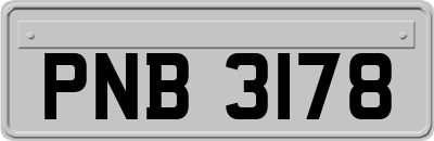 PNB3178