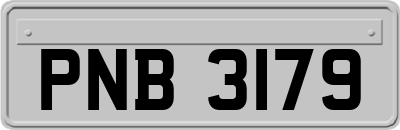 PNB3179