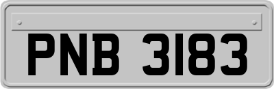 PNB3183